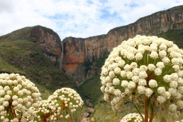 Imagem mostra a Cachoeira do Tabuleiro, que está em Conceição do Mato Dentro, que é uma das melhores cidades de Minas Gerais para visitar
