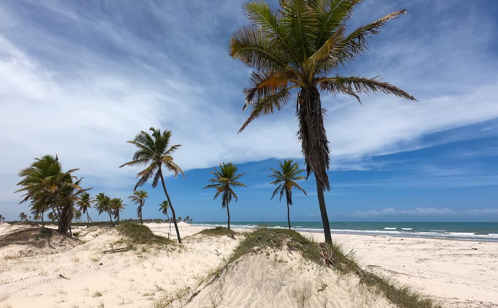 Cidade De Alagoas: Quais As Melhores Para Conhecer Em Uma Viagem?